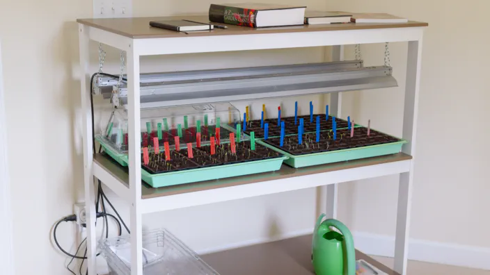 A wooden rack with books and seedling trays.