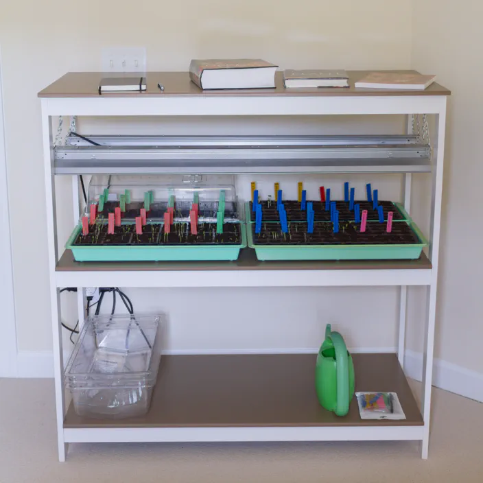 A seed starting tray with books, seed trays, and a watering can.