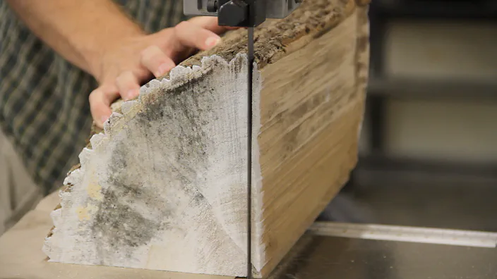 A bandsaw is used to cut a log.